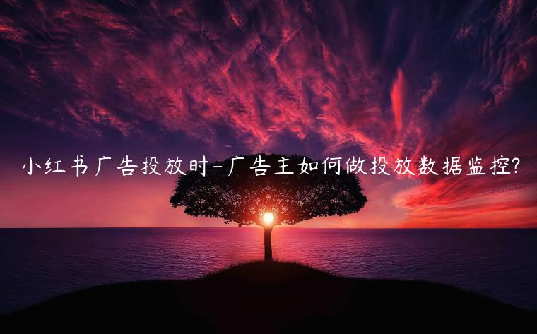 小紅書廣告投放時-廣告主如何做投放數(shù)據(jù)監(jiān)控?